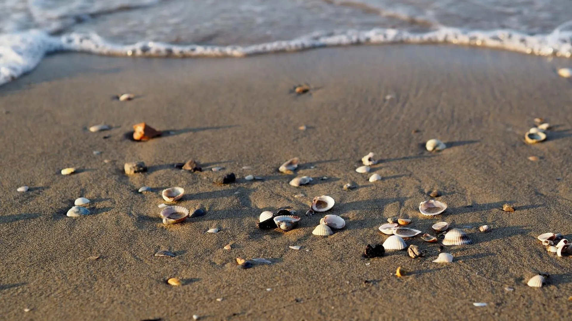 Apartment Lovely Flat 80 M From The Beach - Beahost Bibione